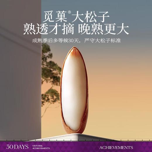 觅菓阿富汗手剥大松子268g 商品图1