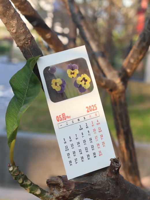创意押花日历 商品图7