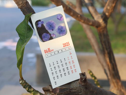 创意押花日历 商品图8