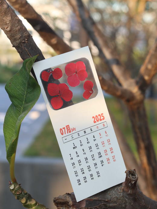 创意押花日历 商品图9
