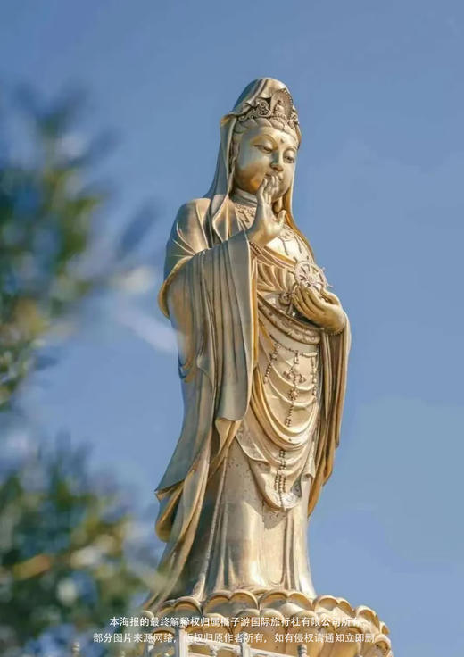 【祈福普陀】 海天佛国普陀山|时尚水都宁波 双飞4日尊享游 商品图2