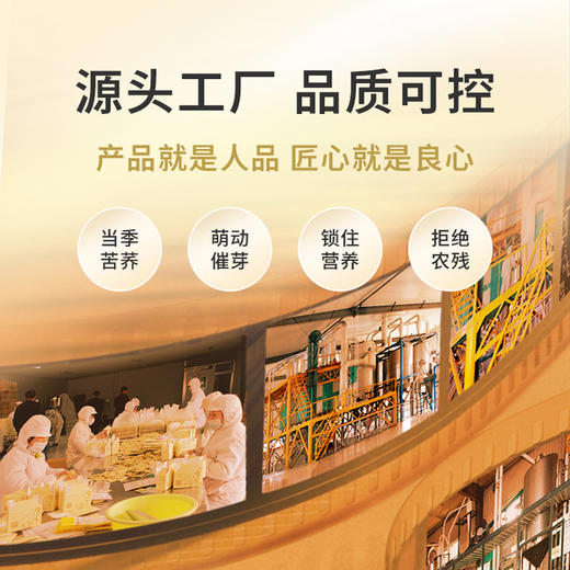 雁门清高有机黑苦荞茶叶喜庆节日送礼盒360g荞麦茶轻糖轻脂轻食茶 商品图3