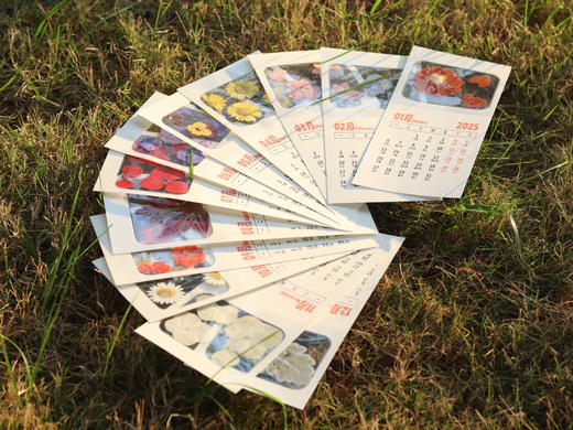 创意押花日历 商品图1