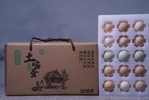 有机土鸡土鸡蛋 鑫沙河农场高山林地散养 肉质鲜嫩 商品图4