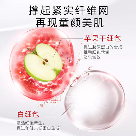 黎芮恩新年红抗皱紧致护肤三件套（玻色因紧致抗皱面霜30g+苹果眼霜25g+三文鱼DNA钠细胞液100ml） 商品图12