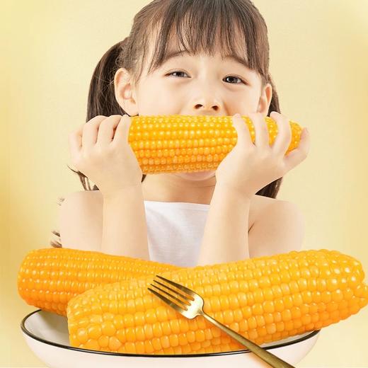 燕之坊 有机黄糯玉米礼盒1.9kg 商品图1