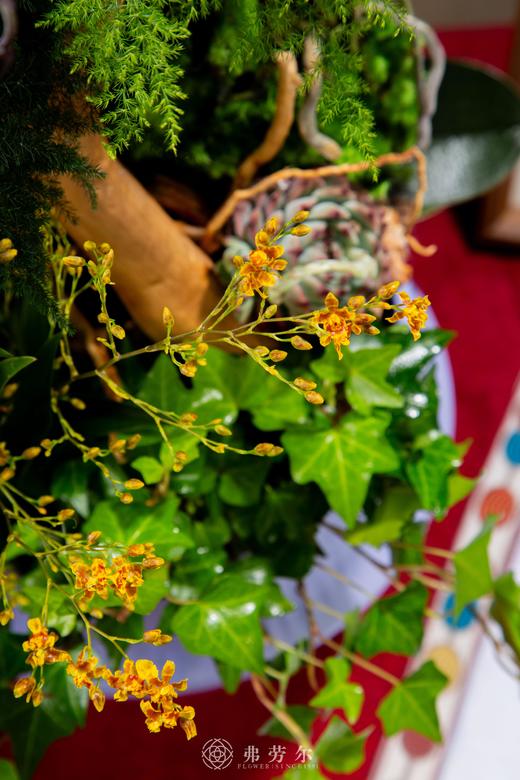 蛇年安康 商品图2