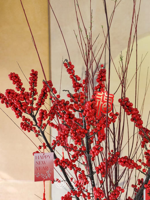 恭喜发财 商品图3