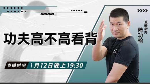 【1月12日 】功夫高不高看背 商品图0