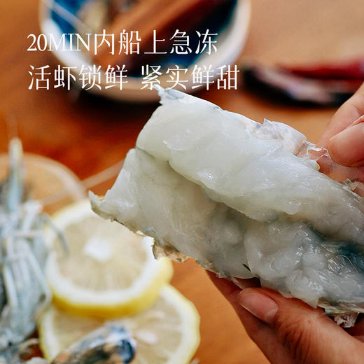 【冰冻黑虎虾王 镇桌硬菜】非盐冻 有冰衣 个头大 肉质紧实鲜甜 活虾锁鲜 白灼、盐烤、红烧都好吃～ 商品图4