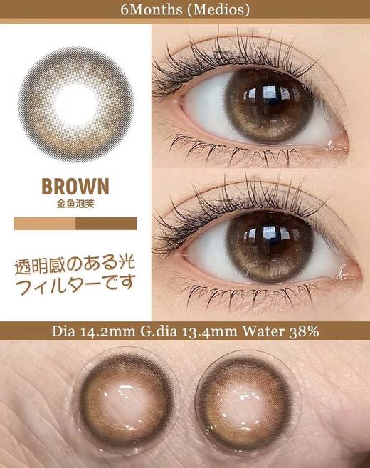 ginomii 半年抛 金鱼泡芙 直径14.2mm着色13.4mm 商品图4