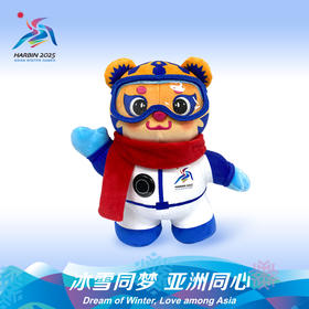 哈尔滨2025年亚冬会吉祥物滨滨妮妮石墨烯发热公仔毛绒玩具纪念品精美礼物 滨滨石墨烯发热公仔