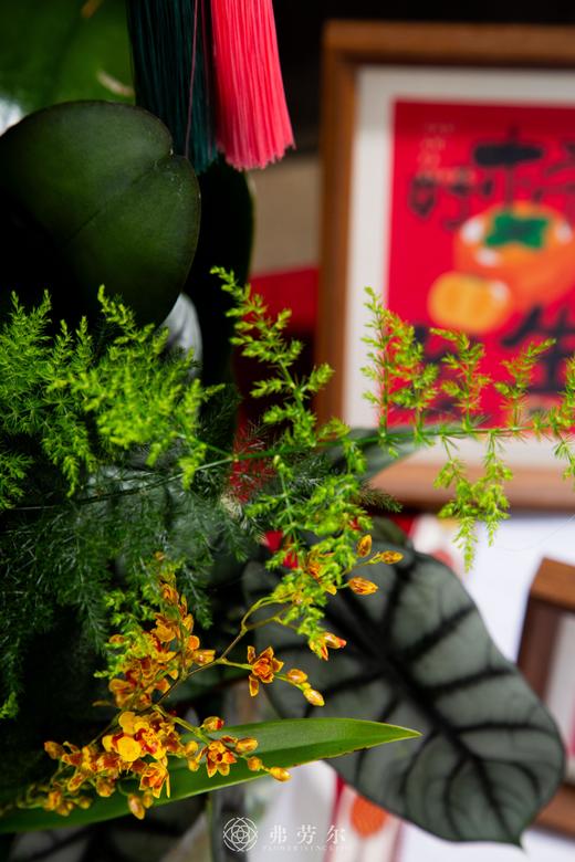 龙去蛇来 商品图2