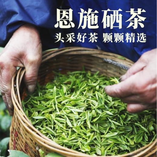 【湖北茶叶】恩施硒茶礼盒装（3g*36袋） 商品图2
