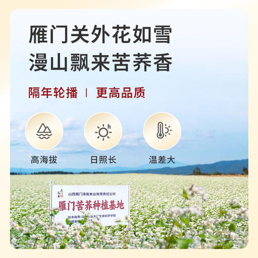 雁门清高有机黑苦荞茶叶喜庆节日送礼盒360g荞麦茶轻糖轻脂轻食茶 商品图5