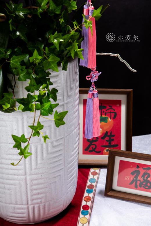 巳蛇呈祥 商品图5