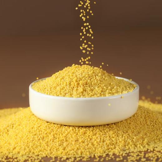 有机小米胚芽米/有机小町胚芽大米 饶野芳物 内蒙古敖汉世界小米之乡 地标产品 商品图4