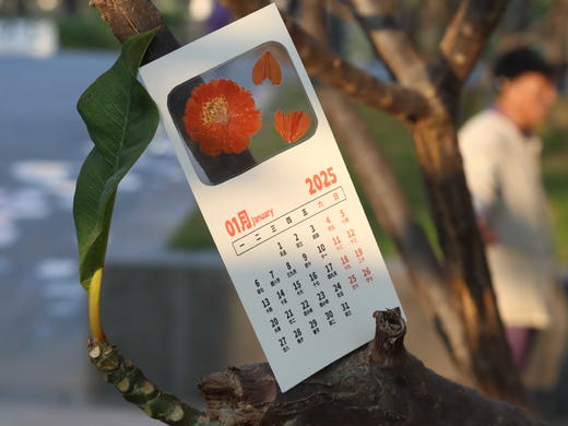 创意押花日历 商品图3