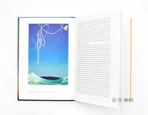 Agnes Pelton (Great Masters in Art) / 艾格尼丝·佩尔顿（艺术大师系列） 商品图3