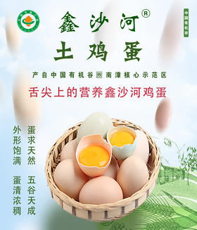 有机土鸡土鸡蛋 鑫沙河农场高山林地散养 肉质鲜嫩