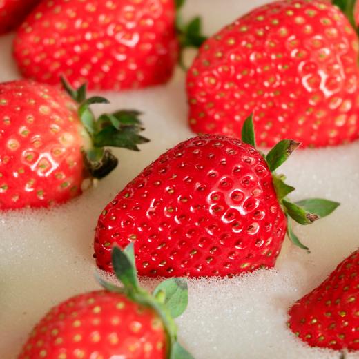 沃野有机香草莓 2.3斤 ±0.1 斤 【预售6天左右，排单发货】 商品图4