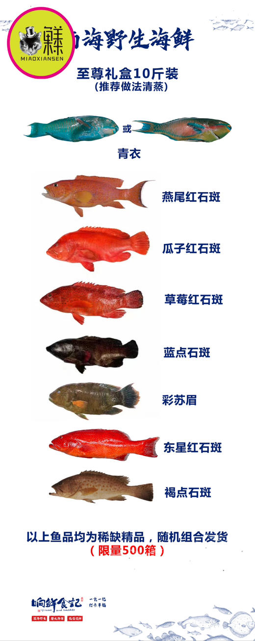 南海斑斓多色野生鱼大礼包（稀有⭐⭐⭐⭐⭐）包邮 商品图2