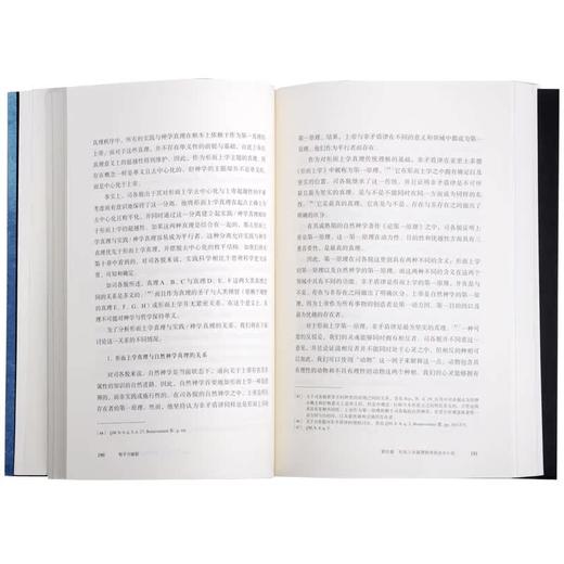 敉平与破裂 雷思温 著 三联书店官方旗舰店 商品图2