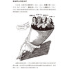 图画通识丛书：启蒙运动 理查德·阿皮尼亚内西 著 三联书店 商品缩略图3