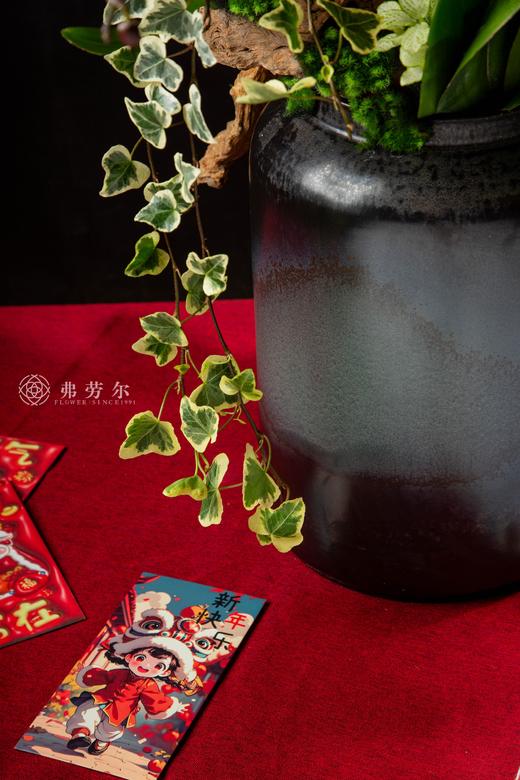 蛇纳千祥 商品图3