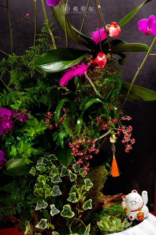 龙蛇飞舞 商品图3