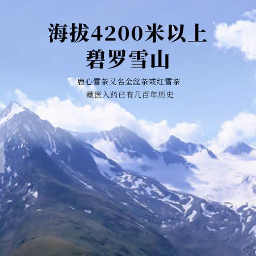 鹿心雪茶【60g商务礼盒】 商品图2