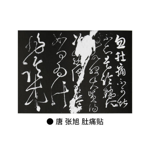 书法 一份关于书法的知识、观念和深入途径的备忘录 邱振中 著 商品图4