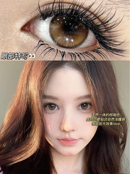 【半年抛】bollycon新品 自然混血款 一片装 一副拍2 商品图9