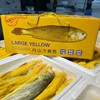🐟舟山半野生深海大黄鱼🐟新鲜捕捞，急速冷冻，顺丰到家 商品缩略图1
