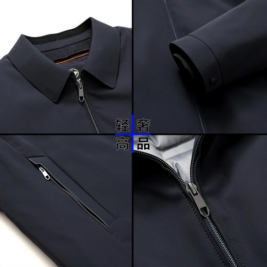 丁摩 【高端牛奶丝】90白鹅绒羽绒服男秋冬商务休闲翻领中厚高档外套5ZF-11220 商品图1