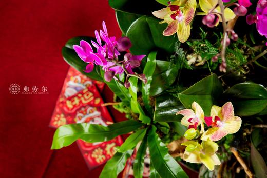 千蛇报瑞 商品图4