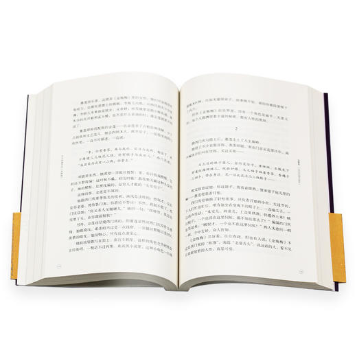 作为欲望号的金瓶梅 刘晓蕾 著 三联书店 商品图3