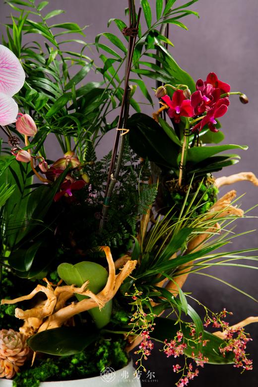 岁在龙蛇 商品图2