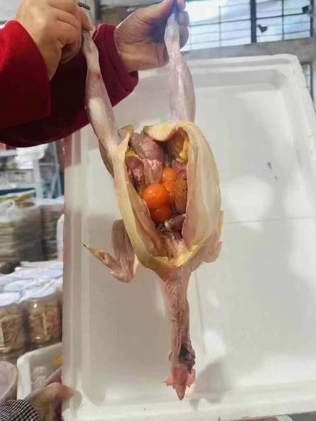 【预售】周五取货：【安徽大别山黑脚老母鸡】一只3斤左右，散养二年以上，肉紧肥美！