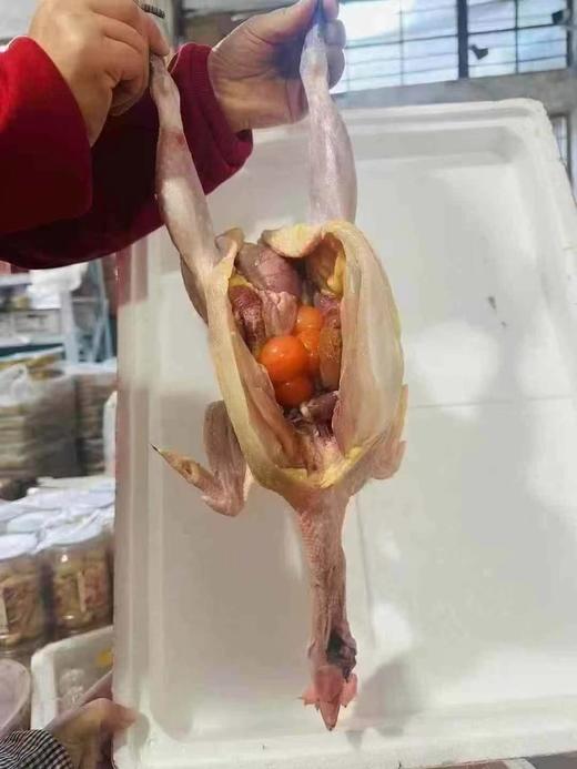 【预售】周五取货：【安徽大别山黑脚老母鸡】一只3斤左右，散养二年以上，肉紧肥美！ 商品图0