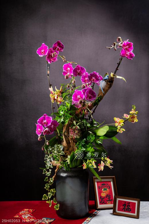 蛇纳千祥 商品图0