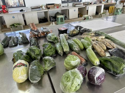 丨有机丨绿康源 有机蔬菜礼盒  北方地区首选 商品图10