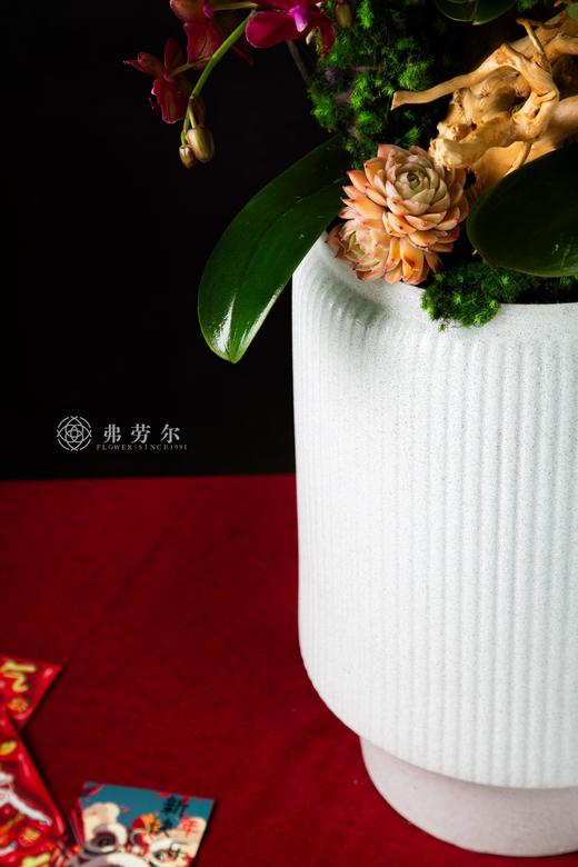 岁在龙蛇 商品图3