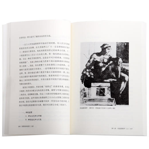 世界美术名作二十讲（纪念版） 傅雷 著 三联书店 商品图2