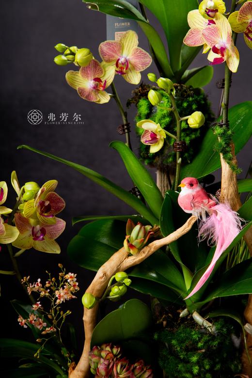 金蛇衔财 商品图2