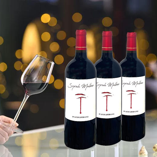 法国进口西拉马尔贝克红葡萄酒750ml 商品图1