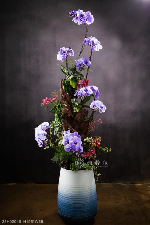 神气蛇足 商品图0