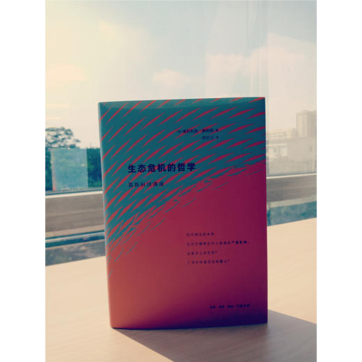 生态危机的哲学 维托利奥·赫斯勒 著  邢长江 译  三联书店 商品图2