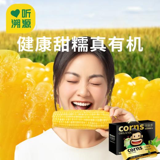  【鹿大叔有机糯玉米】颗颗饱满 软糯拉丝 有机健康玉米 老人孩子都爱吃 商品图0