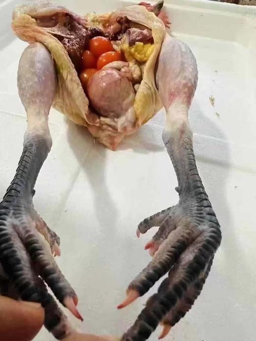 【预售】周五取货：【安徽大别山黑脚老母鸡】一只3斤左右，散养二年以上，肉紧肥美！ 商品图1